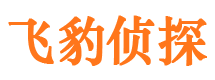 中阳市侦探调查公司